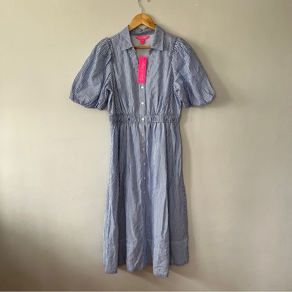 NWT Lilly Pulitzer Tassie Midi Dress Oxford Stripe Coastal Blue Size 6 - Picture 5 of 9